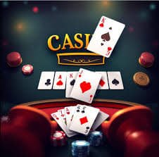 ku9 bet